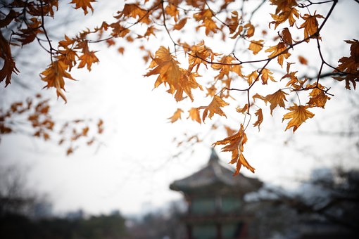 造假害人有恶报（图）