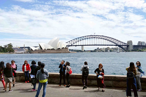 悉尼的Mrs Macquaries Point风景如画，与悉尼歌剧院隔着海湾相望。是游客至悉尼必达之处。也是悉尼三退义工无论寒暑坚守之处。（大纪元）
