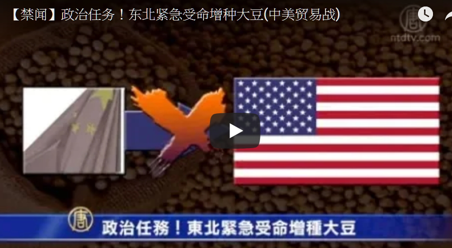 【禁闻】政治任务！东北紧急受命增种大豆（视频）