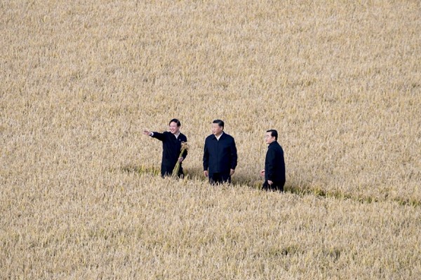 习近平为何北上视察？知情者：贸战外还有更大危机