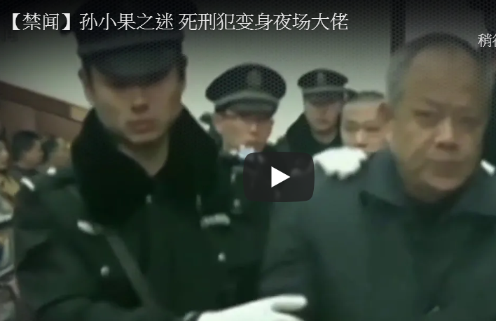 【禁闻】孙小果之迷 死刑犯变身夜场大佬