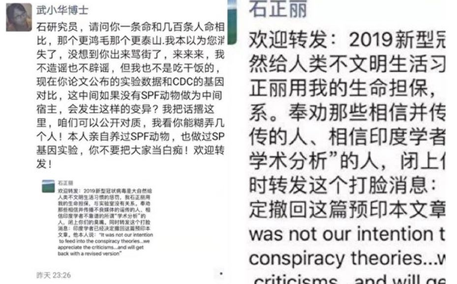 肺炎病毒来自P4实验室？ 石正丽生命担保论惹议