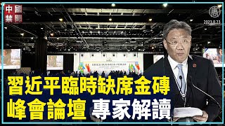 【禁闻】习近平临时缺席金砖峰会论坛 专家解读