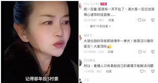 举报村官被关被电击被喂药 刘凤兰：做好破釜沉舟打算