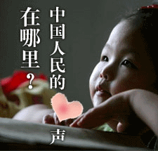  三退声明精选（2026/02/09）