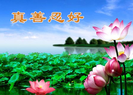 他们为我们的生活带来光明（1）