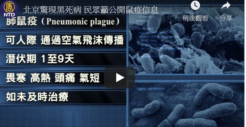 北京惊现黑死病 民众吁公开鼠疫信息
