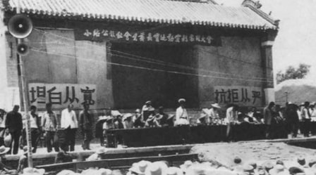 一段戏剧性苦难史：我贡献了一位二级教授