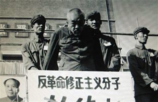16733 5