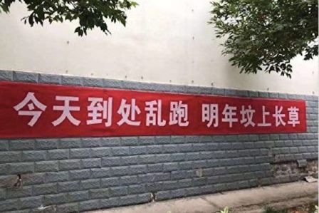 组图：武汉肺炎爆发 大陆现各类文革式标语