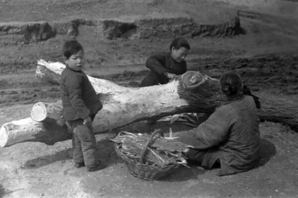 中共罪行录：甘肃通渭县逼粮 害死上千人