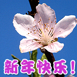 退声明精选（2026/01/01）