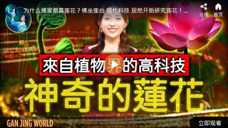 【未解之谜】来自植物界的高科技 神奇的莲花