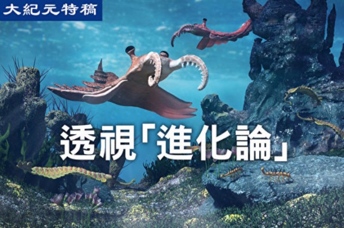 【特稿】进化假说使科学误入歧途（下）