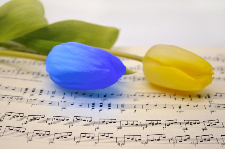 唱歌是一种运动？有减肥、增免疫等5大好处