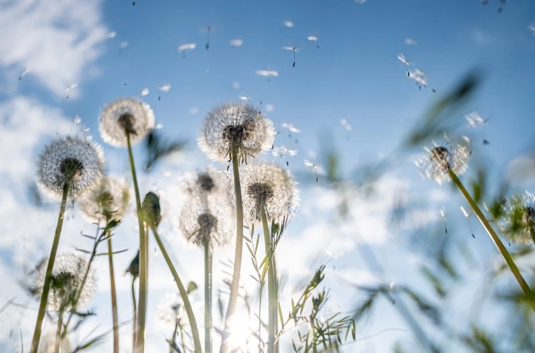 聪明人为何不争吵？3个方法戒掉吵架