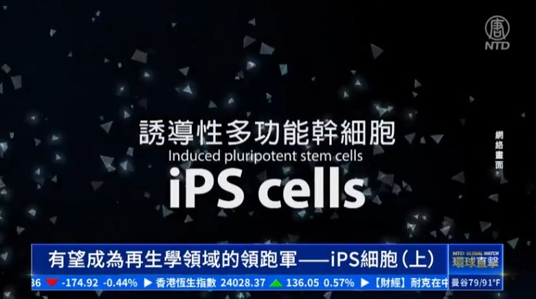 有望成为再生学领域的领跑军——iPS细胞（上）
