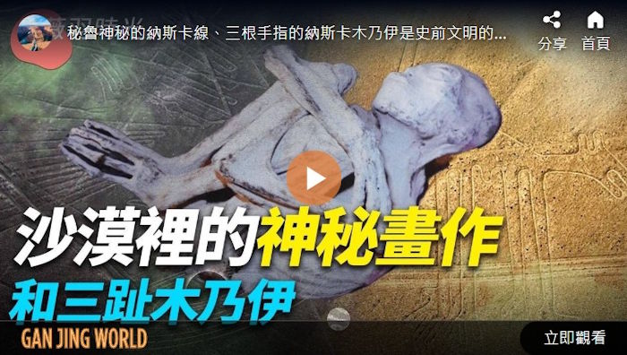沙漠里的神秘画作和三趾木乃伊｜时光之谜
