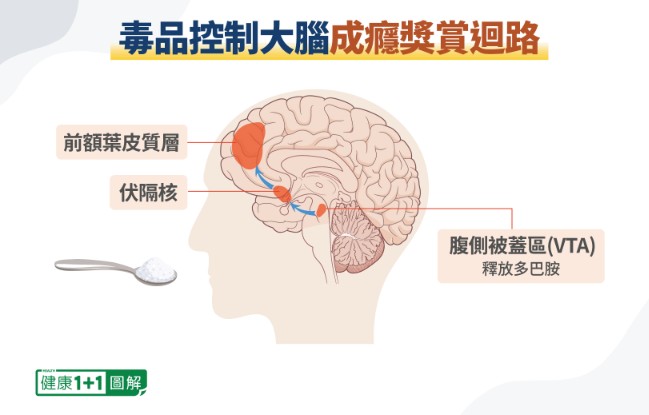 芬太尼2毫克就致命！如何远离毒品危害