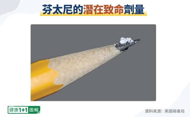 40545 02