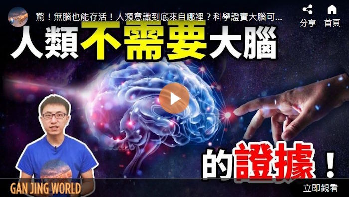 人类不需要大脑的证据【地球旅馆】