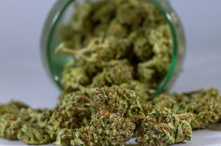 大麻药效比15年前更强大 带来急诊增加