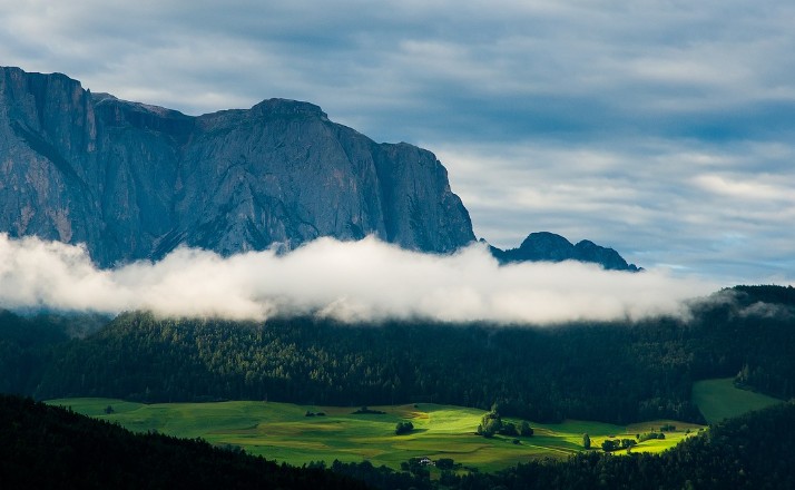 志在抱朴　修己利民