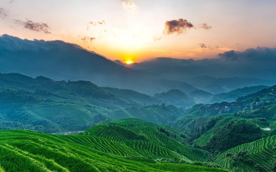 【九评征文】躲得过初一， 躲不过十五