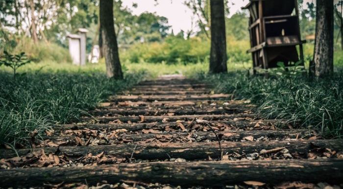 【古代修炼故事】仁师设难　弟子过关