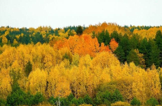 古典名著《封神演义》试解