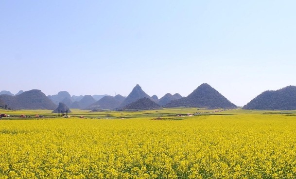 【九评征文】逆子与母亲