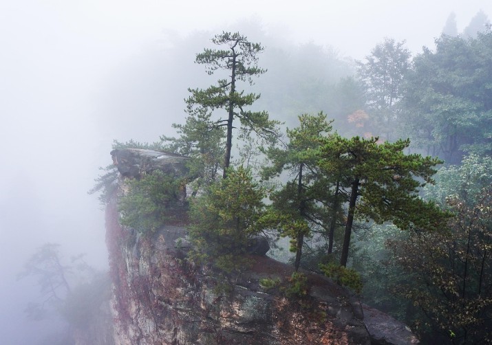 仙乐飘飘龙凤飞　金可记白日升天