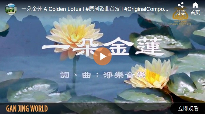 【歌曲】一朵金莲