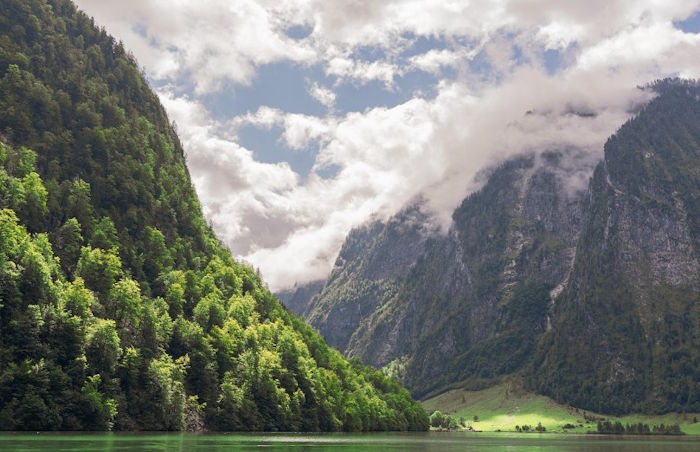 【九评征文】“功夫”的背后