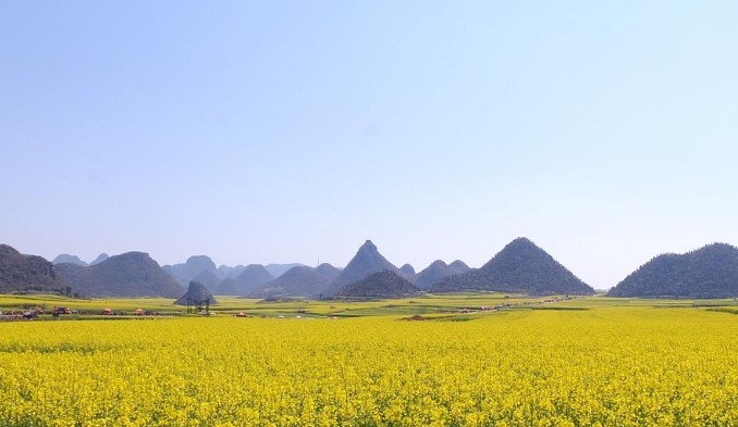 【九评征文】冼扬:变成芝麻的围墙