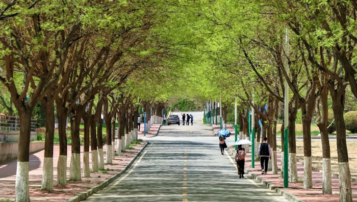 【九评征文】小钟阿姨