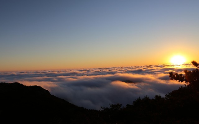 敬师不忘本 目犍连一念返回