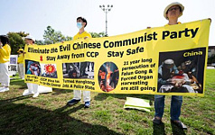 我经历的现实版“鱿鱼游戏”