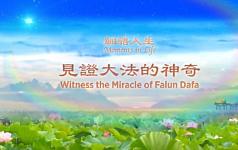 见证大法的神奇-20