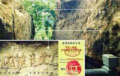 相同的境遇 不同的结局（明慧图片）