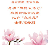 识真相 学大法 急性白血病学子痊愈