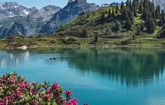 凡心不去,哪能成佛?