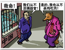 两例肾脏移植背后的故事（明慧网图片）