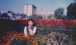 流泪的并蒂莲（上）