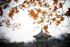 冥冥之中有定数：孙生为崔涣与房琯看相（图）