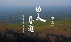 功夫 寻道-下（视频）