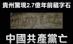 保党逆天意（图）