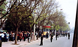 法轮功为什么要去中南海？（图）