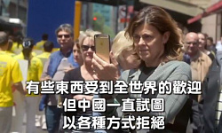 为何中国与全世界不一样（视频）