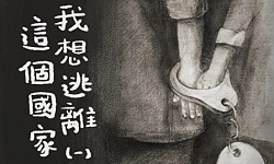 我想逃离这个国家 看完泪崩（上）